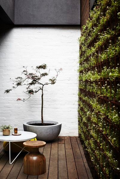 6 RAZONES PARA INCLUIR PLANTAS EN TU DECORACIÓN-10