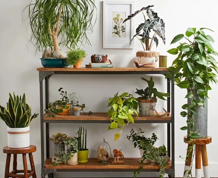 13966c_65d10b33c35c4e7ea5c698e6378dd914_mv2