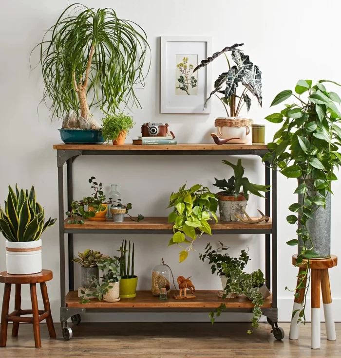 13966c_65d10b33c35c4e7ea5c698e6378dd914_mv2