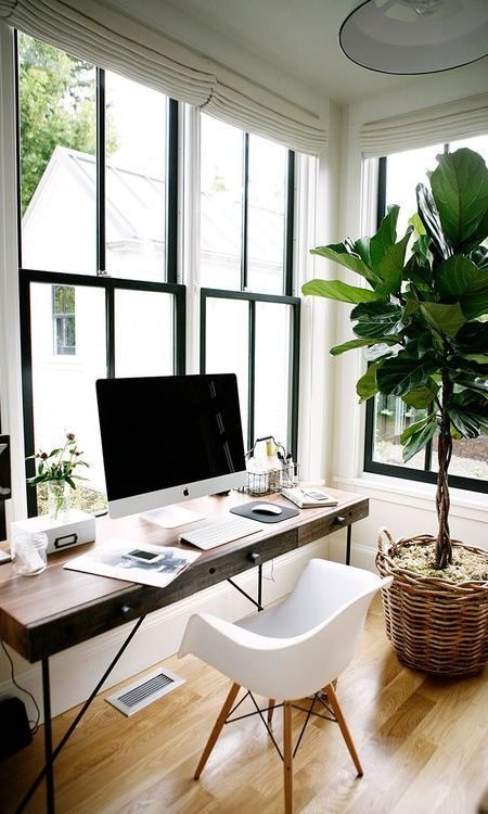 6 RAZONES PARA INCLUIR PLANTAS EN TU DECORACIÓN-11