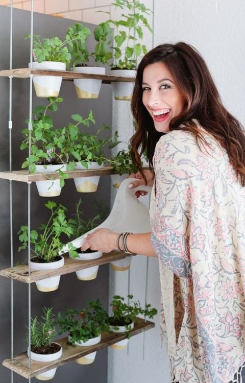 6 RAZONES PARA INCLUIR PLANTAS EN TU DECORACIÓN-12