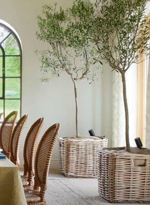 6 RAZONES PARA INCLUIR PLANTAS EN TU DECORACIÓN-17