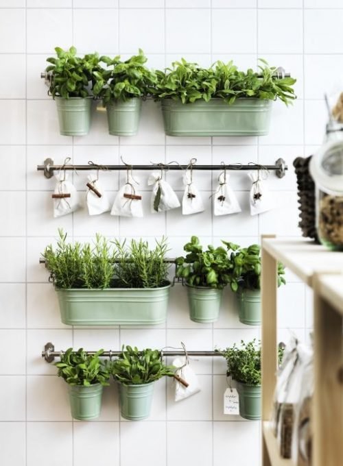 6 RAZONES PARA INCLUIR PLANTAS EN TU DECORACIÓN-21
