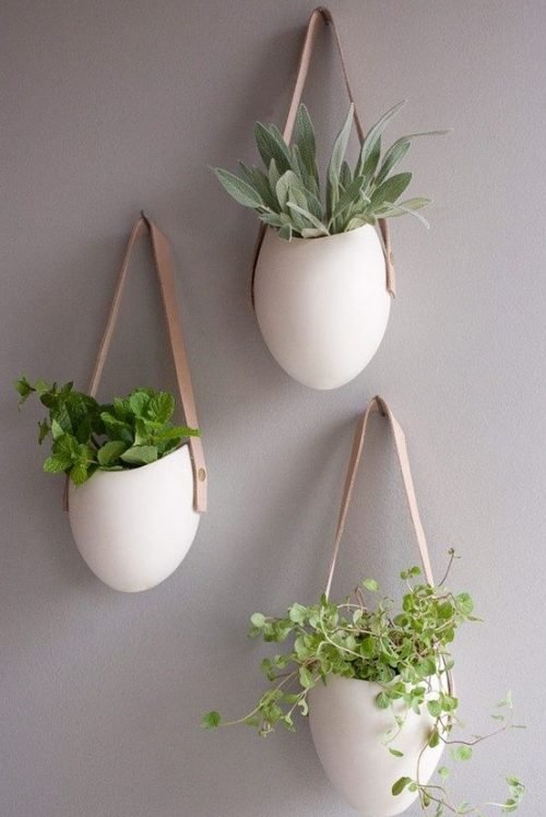 6 RAZONES PARA INCLUIR PLANTAS EN TU DECORACIÓN-8