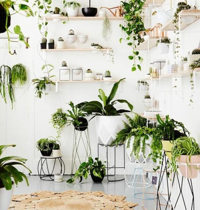 6-RAZONES-PARA-INCLUIR-PLANTAS-EN-TU-DECORACION